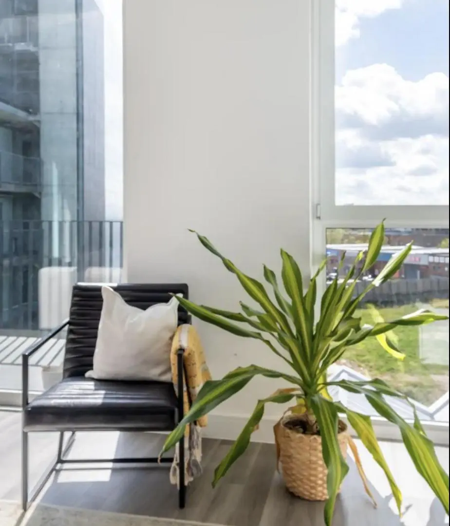 Scandi Style Flat In London With Private Terrace Apartament